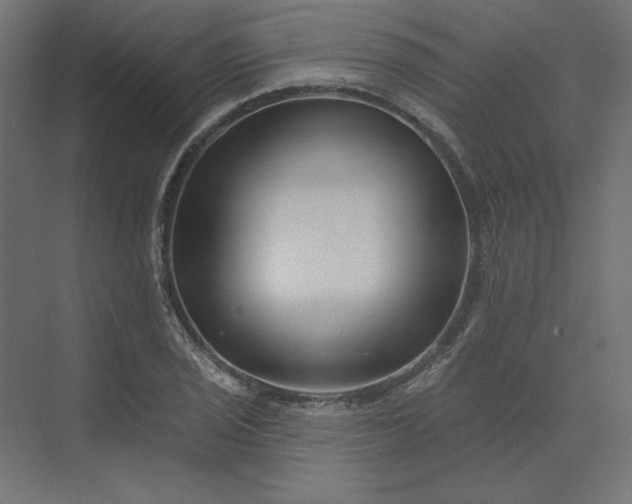 X0000073911029200608251518