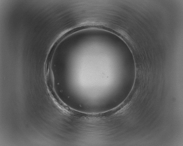 X0000073911030200608251518