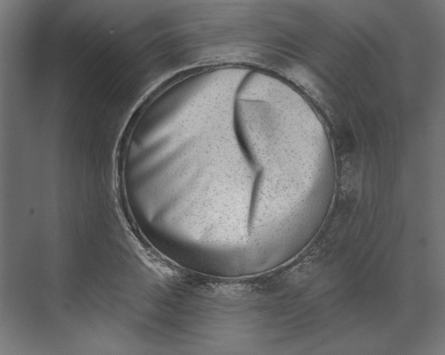 X0000073911031200608251518