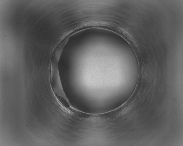 X0000073911033200608251518