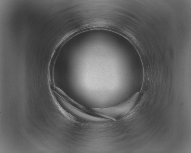 X0000073911034200608251518