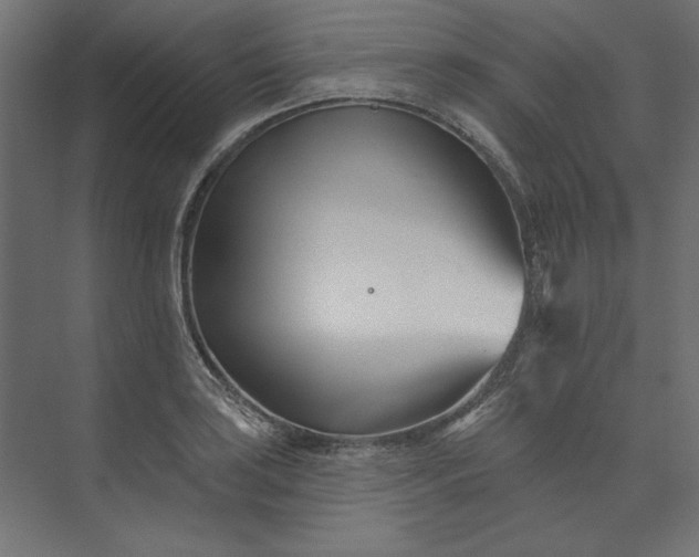 X0000073911035200608251518