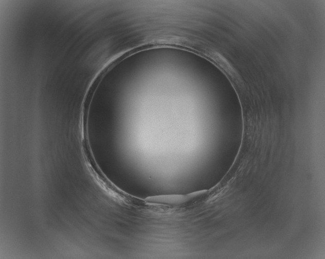 X0000073911036200608251518