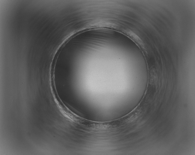 X0000073911039200608251518