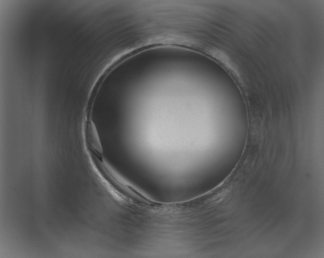 X0000073911040200608251518