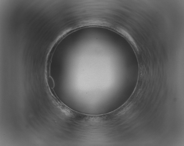 X0000073911043200608251518
