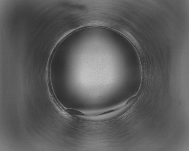 X0000073911044200608251518