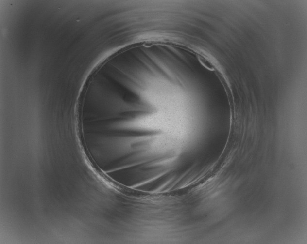 X0000073911045200608251518