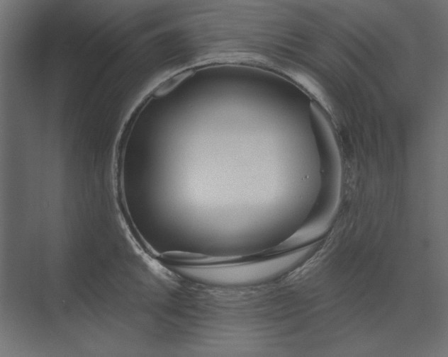 X0000073911046200608251518