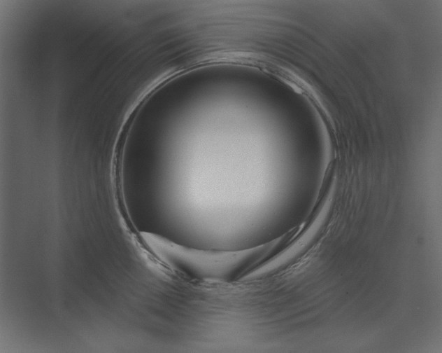 X0000073911050200608251518