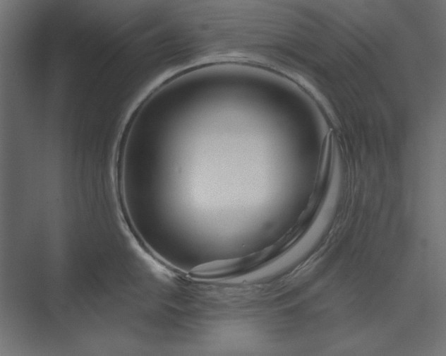 X0000073911054200608251518