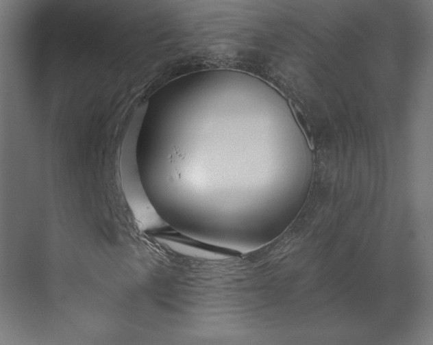 X0000073911057200608251517