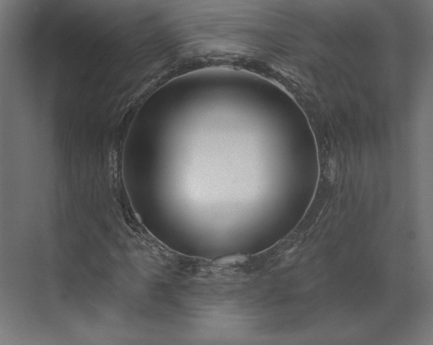 X0000073911061200608251517