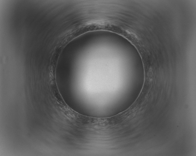 X0000073911062200608251517