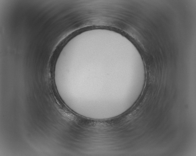X0000073911070200608251517