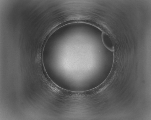 X0000073911073200608251517