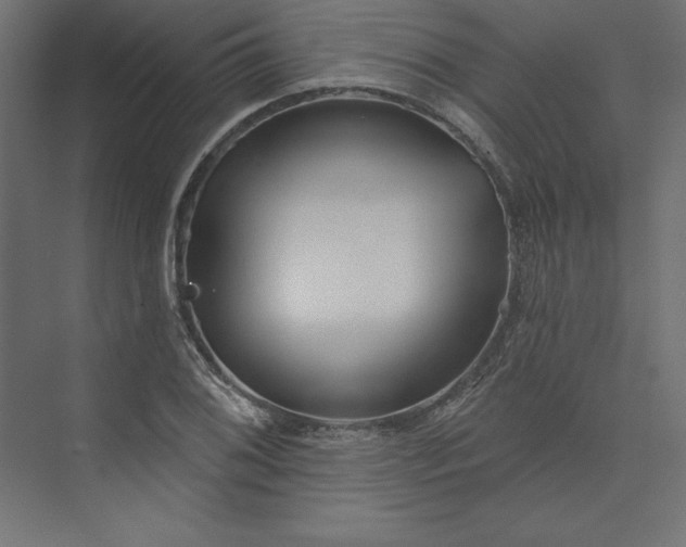 X0000073911076200608251517