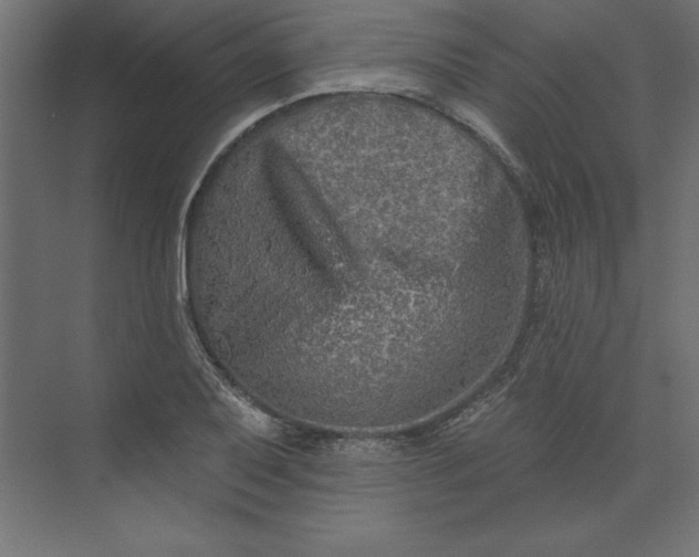 X0000073911079200608251517