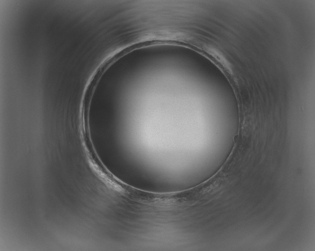 X0000073911080200608251517