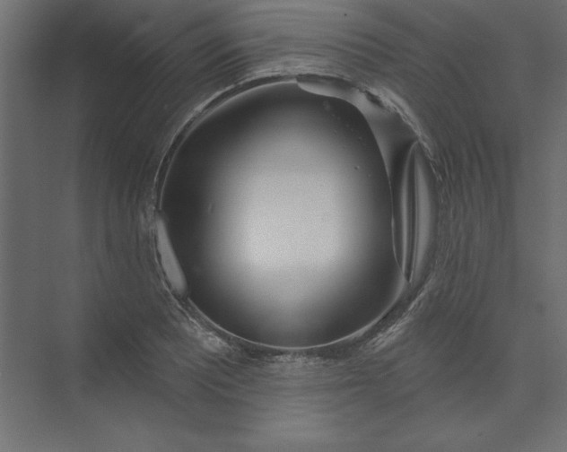 X0000073911081200608251517
