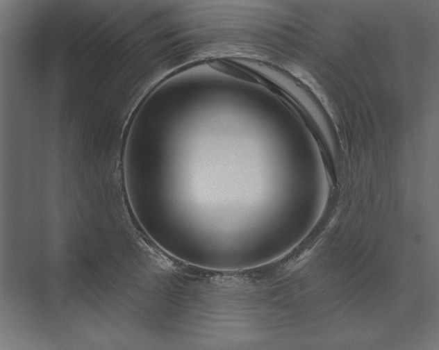 X0000073911089200608251517