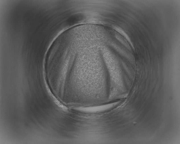 X0000073911091200608251517