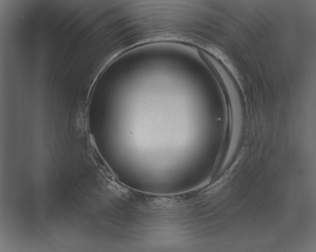 X0000073911097200608251517