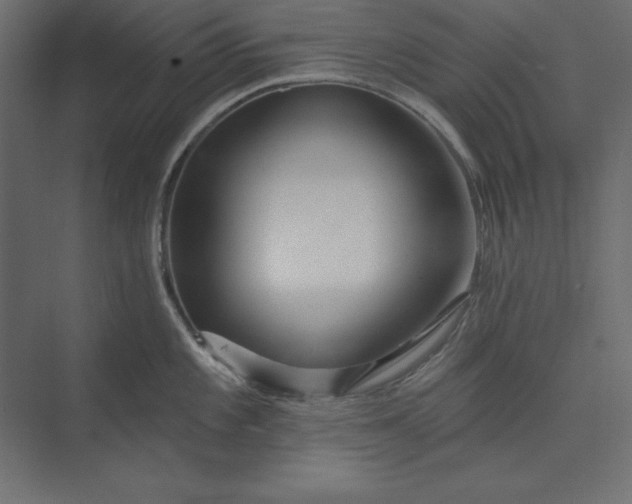 X0000073911101200608251517