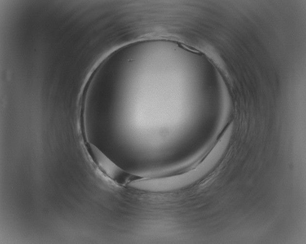 X0000073911102200608251517