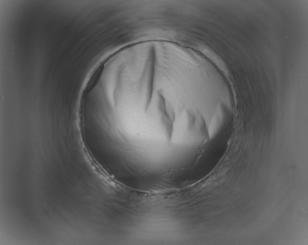 X0000073911104200608251517