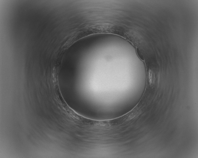 X0000073911107200608251516