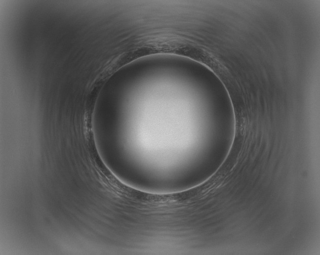 X0000073911108200608251516