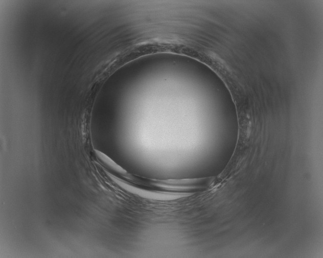 X0000073911110200608251516