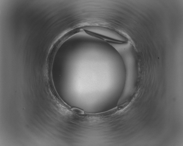 X0000073911114200608251516