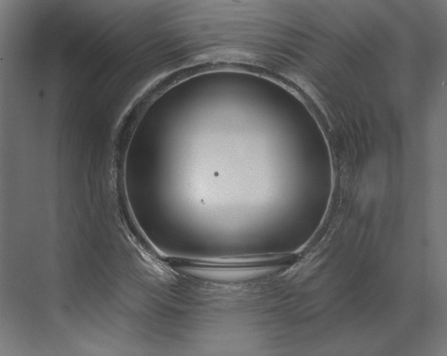 X0000073911115200608251516