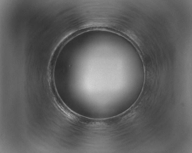 X0000073911119200608251516