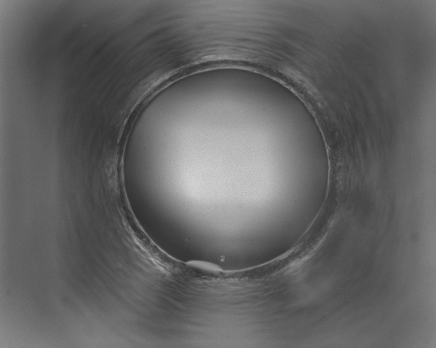 X0000073911121200608251516