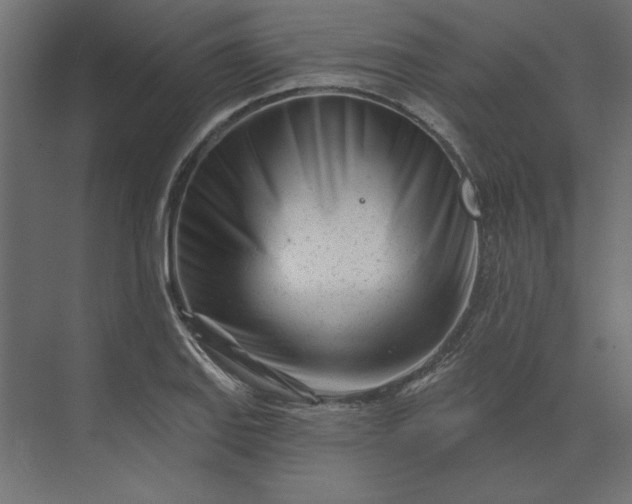 X0000073911127200608251516