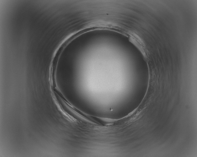 X0000073911128200608251516