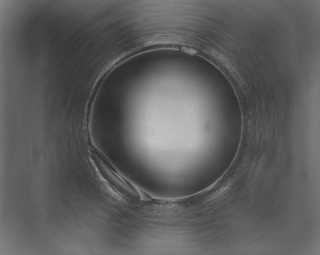 X0000073911129200608251516