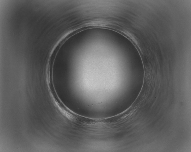 X0000073911131200608251516