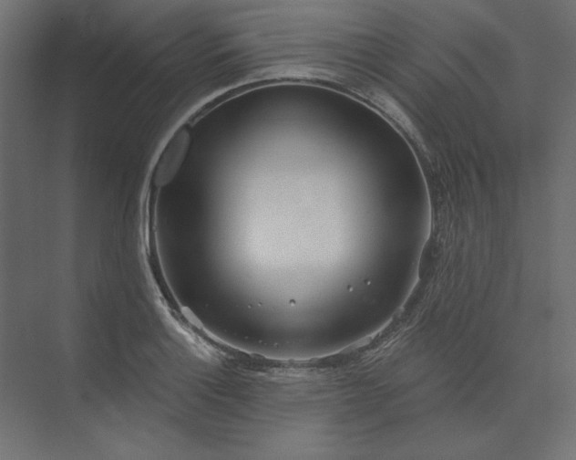 X0000073911132200608251516