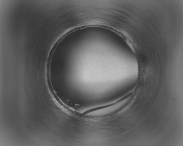 X0000073911134200608251516