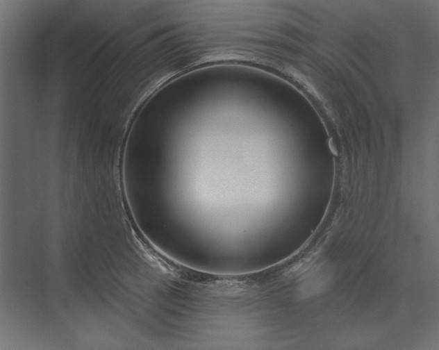 X0000073911137200608251516