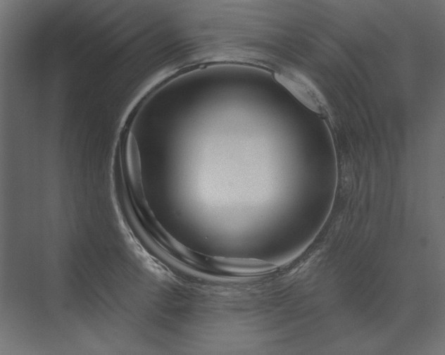 X0000073911138200608251516