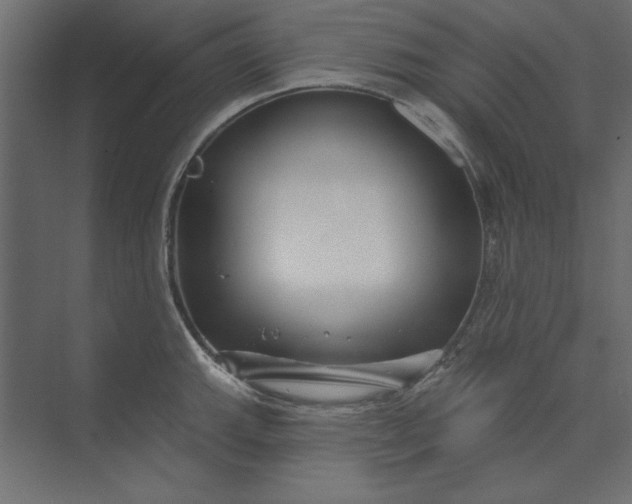 X0000073911143200608251516