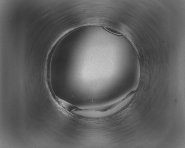 X0000073911147200608251517