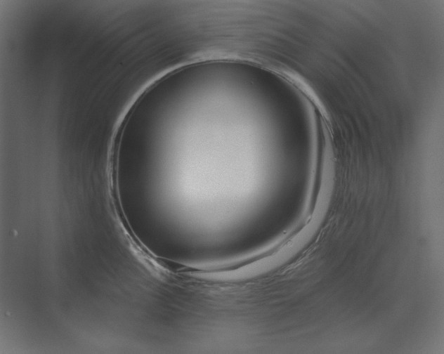 X0000073911148200608251517