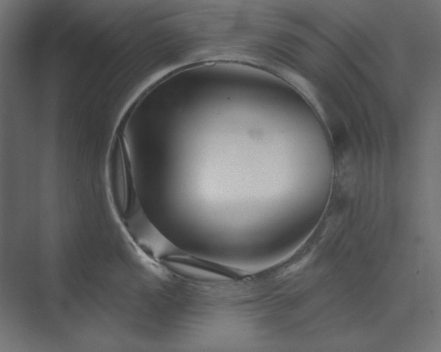 X0000073911149200608251517