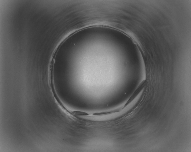 X0000073911151200608251517